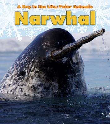 Narwhal