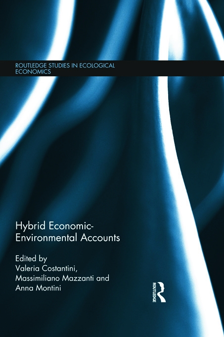 Hybrid Economic-Environmental Accounts