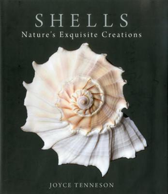 Shells: Nature’s Exquisite Creations