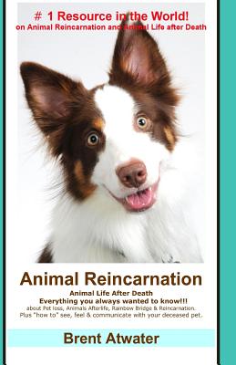 Animal Reincarnation: Everything You Always Wanted to Know!