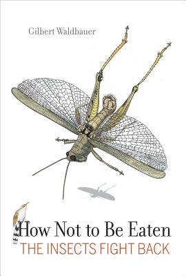 How Not to Be Eaten: The Insects Fight Back