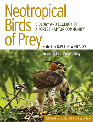 Neotropical Birds of Prey: The Origins and Evolution of No Child Left Behind