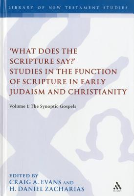 ’what Does the Scripture Say?’ Studies in the Function of Scripture in Early Judaism and Christianit: Volume 1: The Synoptic Gospels