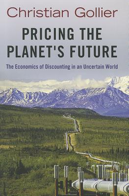 Pricing the Planet’s Future: The Economics of Discounting in an Uncertain World