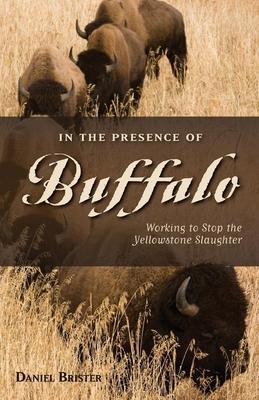 In the Presence of Buffalo: Working to Stop the Yellowstone Slaughter