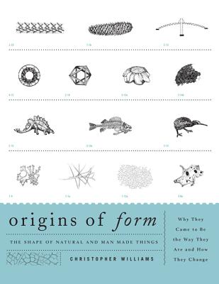 Origins of Form: The Shape of Natural and Man-Made Things