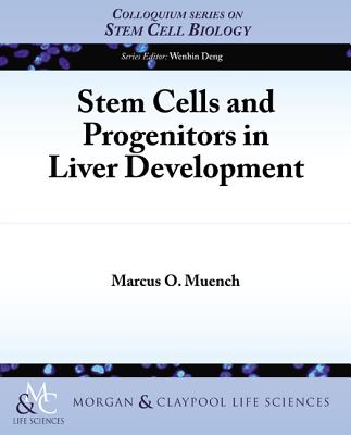 Stem Cells and Progenitors in the Liver Development