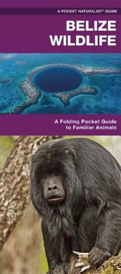 Belize Wildlife: A Folding Pocket Guide to Familiar Species