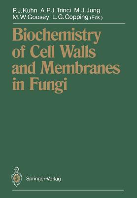 Biochemistry of Cell Walls and Membranes in Fungi