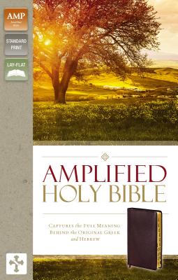 Amplified-Am: Captures the Full Meaning Behind the Original Greek and Hebrew