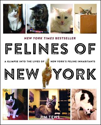 Felines of New York: A Glimpse Into the Lives of New York’s Feline Inhabitants