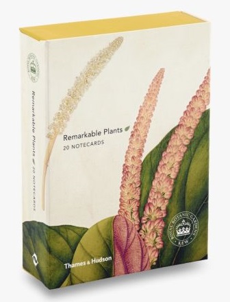 Remarkable Plants: Notecard Box (Notecards)