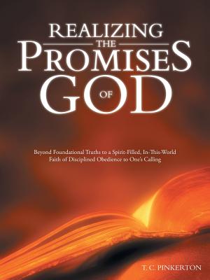 Realizing the Promises of God: Beyond Foundational Truths to a Spirit-filled, In-this-world Faith of Disciplined Obedience to On