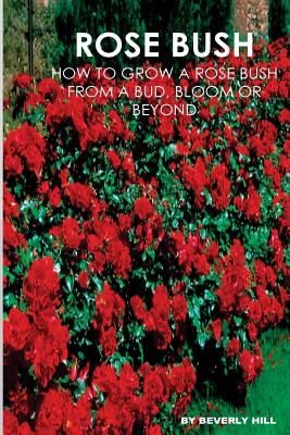 Rose Bush: Learn How to Grow a Rose Bush from a Bud, Bloom or Beyond