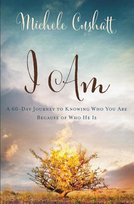 I Am: A Sixty-Day Journey to Knowing Who You Are Because of Who He Is