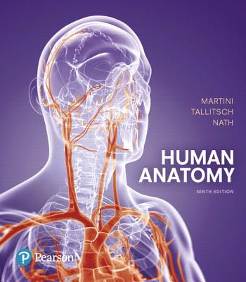 Martini: Human Anatomy_9