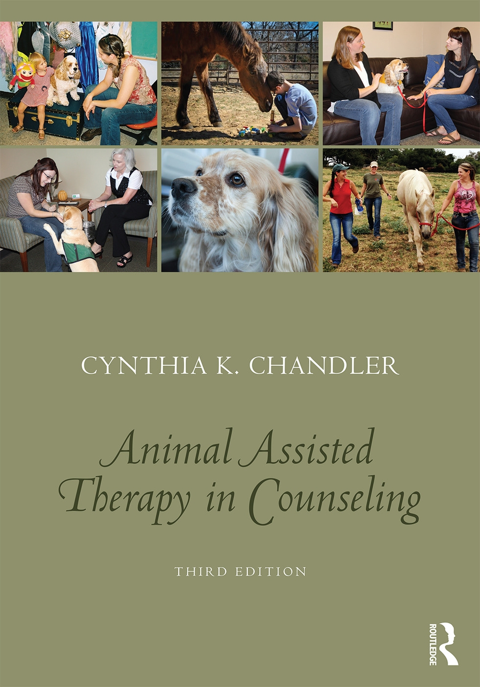 Animal-assisted Therapy in Counseling