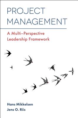 Project Management: A Multi-Perspective Leadership Framework