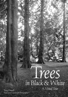 Trees in Black & White: A Visual Tour