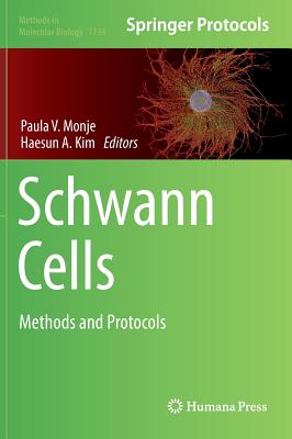 Schwann Cells: Methods and Protocols