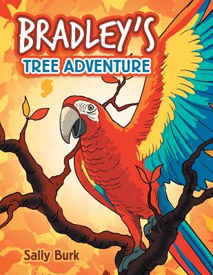 Bradley’s Tree Adventure