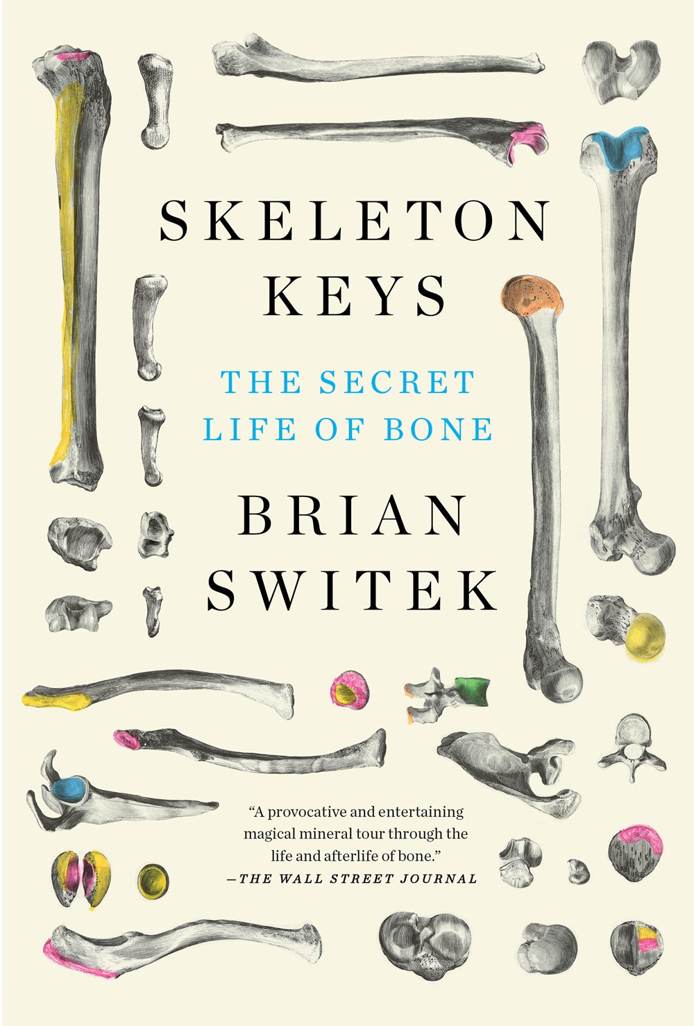 Skeleton Keys: The Secret Life of Bone