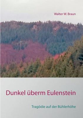 Dunkel überm Eulenstein