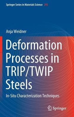 Deformation Processes in Trip/Twip Steels: In-Situ Characterization Techniques