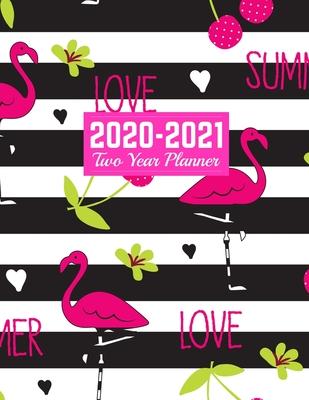 2020-2021 Two Year Planner: Nifty 24-Months Calendar, 2-Year Appointment Business Planners, Agenda Schedule Organizer Logbook and Journal - Art Co