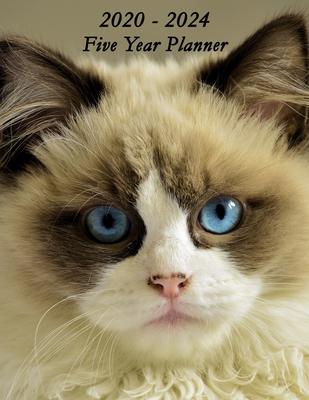 2020 - 2024 Five Year Planner: Pretty Cat with Blue Eyes Cover - Includes Major U.S. Holidays and Sporting Events