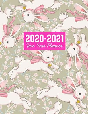 2020-2021 Two Year Planner: Nifty Daily Weekly Monthly 2020-2021 Planner Organizer, Agenda, Schedule and To Do List Journal - Art Cover 00023189