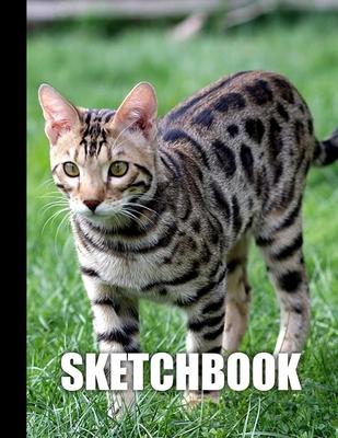 Sketchbook: Beautiful Cat Feline Cover Design - White Paper - 120 Blank Unlined Pages - 8.5 X 11 - Matte Finished Soft Cover