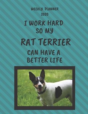 Rat Terrier Weekly Planner 2020: Rat Terrier Lover Gifts Idea For Men & Women - Funny Weekly Planner - I Work Hard So My Rat Terrier Can Have A Better