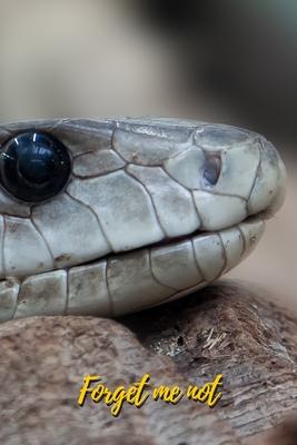 Forget Me Not: Black Mamba Snake.Internet Password Logbook with alphabetical tabs.Personal Address of websites, usernames, passwords