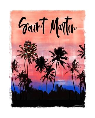 Saint Martin: Caribbean Christmas Notebook With Lined College Ruled Paper For Taking Notes. Stylish Tropical Travel Journal Diary 7.