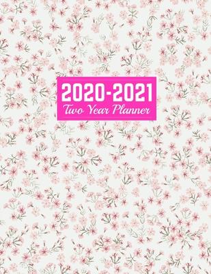 2020-2021 Two Year Planner: Nifty 24-Months Calendar, 2-Year Appointment Business Planners, Agenda Schedule Organizer Logbook and Journal - Art Co