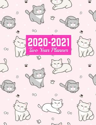 2020-2021 Two Year Planner: Nifty January 1, 2020 to December 31, 2021 - Weekly & Monthly View Planner, Organizer & Diary - Art Cover 00023188