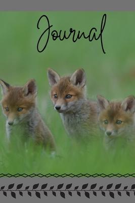 Journal: Anxiety Journal and Coloring Book 6x9 90 Pages Positive Affirmations Mandala Coloring Book Adorable Fox Kits Cover