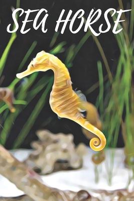 Sea Horse Notebook: A beautiful diary for animal lovers / Best for writing notes and ideas for home or school use / Perfect for a gift / S