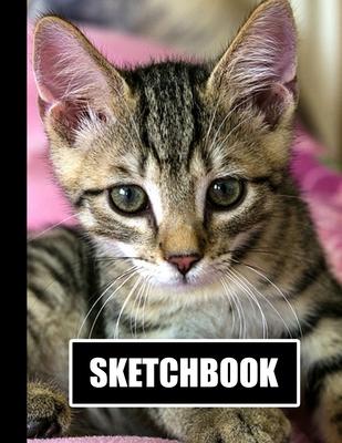 Sketchbook: Cute Kitten Cat Cover Design - White Paper - 120 Blank Unlined Pages - 8.5 X 11 - Matte Finished Soft Cover