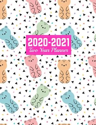 2020-2021 Two Year Planner: Nifty 24-Months Calendar, 2-Year Appointment Business Planners, Agenda Schedule Organizer Logbook and Journal - Art Co