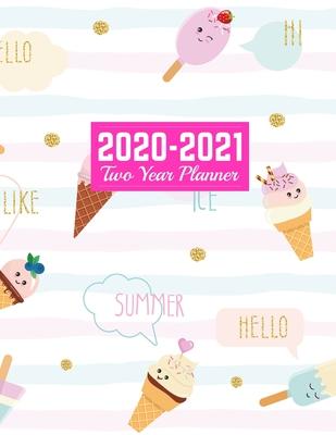 2020-2021 Two Year Planner: Handy January 1, 2020 to December 31, 2021 - Weekly & Monthly View Planner, Organizer & Diary - Art Cover 00023187