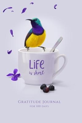 Gratitude Journal for 100 Days: Cultivate An Attitude Of Gratitude, Mindfulness and Productivity - Great Gift under 8