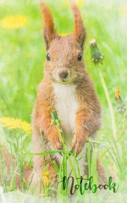 Cute squirrel notebook. 120 lined pages 5 x 8