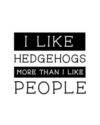 I Like Hedgehogs More Than I Like People: Hedgehog Gift for People Who Love Hedgehogs - Funny Saying on Cover for Hedgehog Lovers - Blank Lined Journa