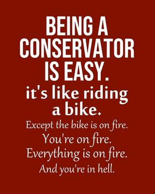 Being a Conservator is Easy. It’’s like riding a bike. Except the bike is on fire. You’’re on fire. Everything is on fire. And you’’re in hell.: Calendar