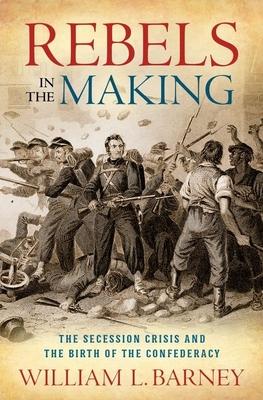 Rebels in the Making: The Secession Crisis and the Birth of the Confederacy