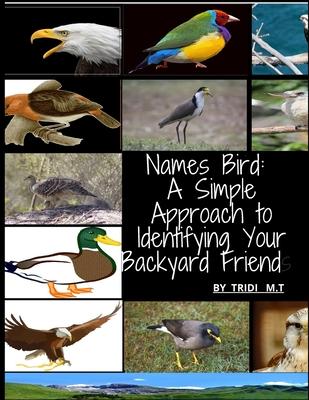 Names Bird: A Simple Approach to Identifying Your Backyard Friend