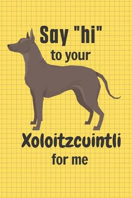 Say hi to your Xoloitzcuintli for me: For Xoloitzcuintli Dog Fans