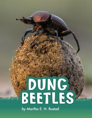 Dung Beetles